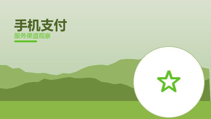 手机支付生态协同，配件与服务配合