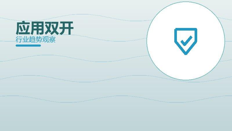 应用双开配图