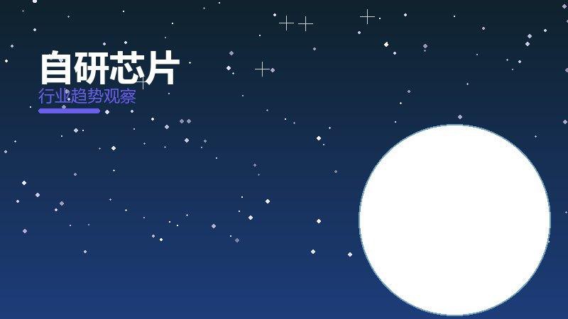 自研芯片历史包袱，积累与调整代价