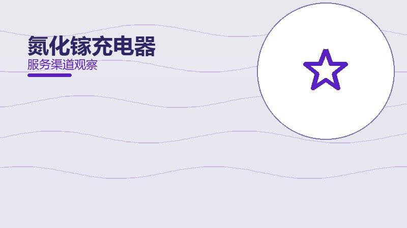 氮化镓充电器配图
