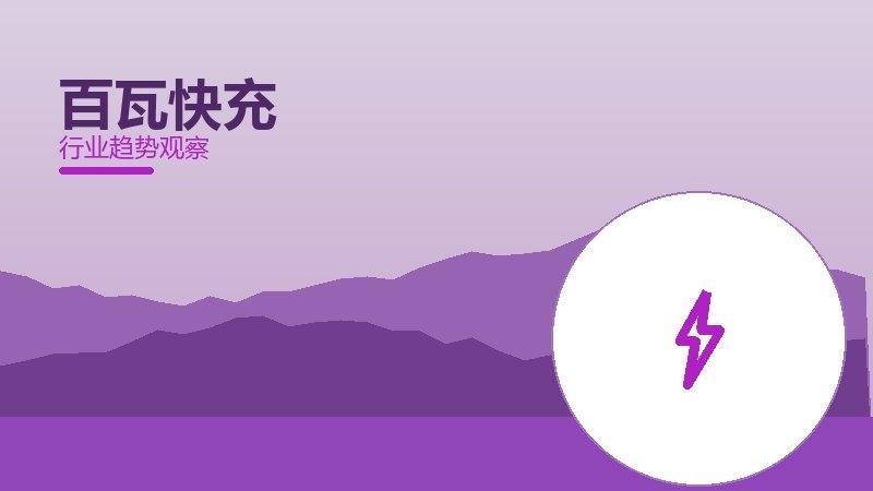 百瓦快充配图